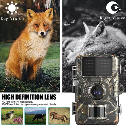 Outdoor camera with night vision | Bowlift