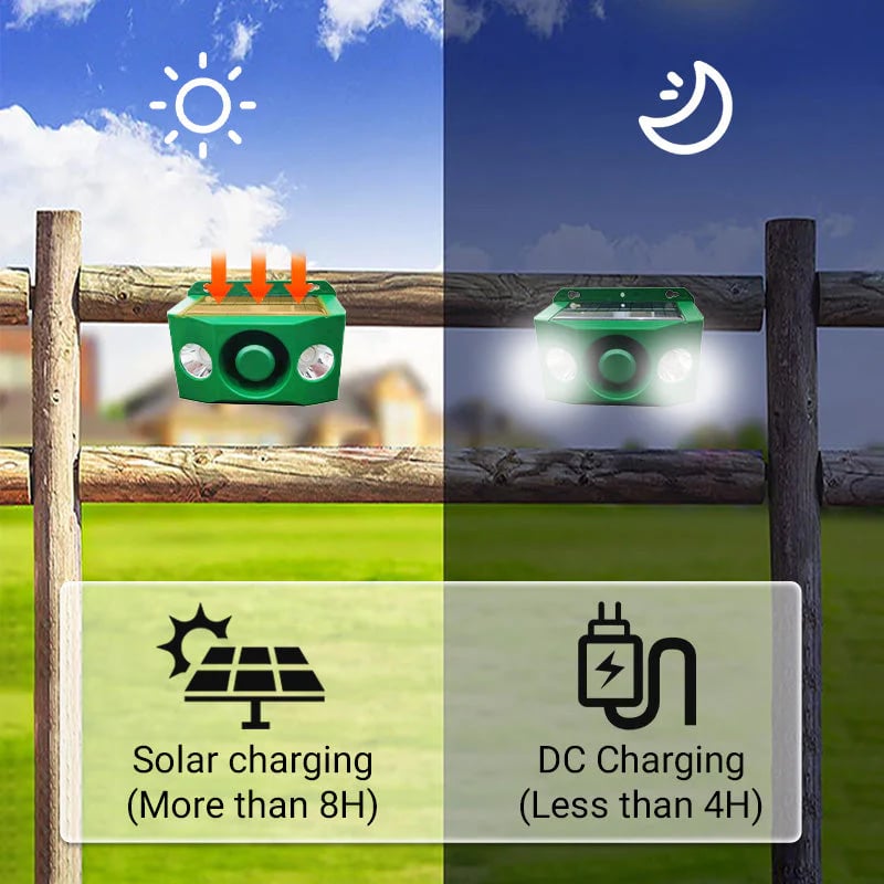 BowLift | DUALGUARD – High Volume Solar Warning Lights to Deter Predators