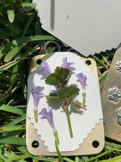 BowLift | Mini Flower Press | Compact Botanical Keepsake Maker | Portable Craft Tool