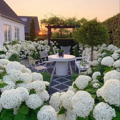 BowLift | Outdoor Artificial Hydrangea Flowers