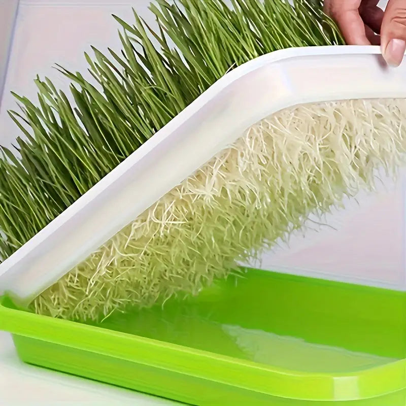 Skanto | Seedling Tray with Lid – Double-Layer Seedling Tray for Efficient Seed Germination