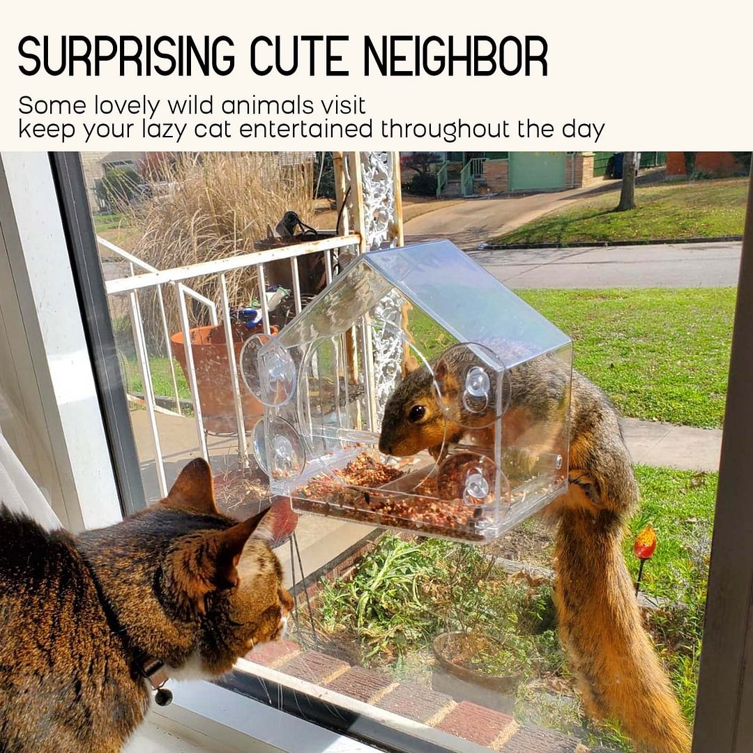 Skanto | Window Bird Feeder for Outdoor Use