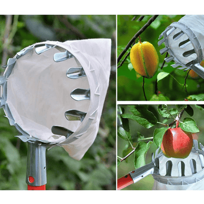 Skanto | Fruit Picker Head Basket