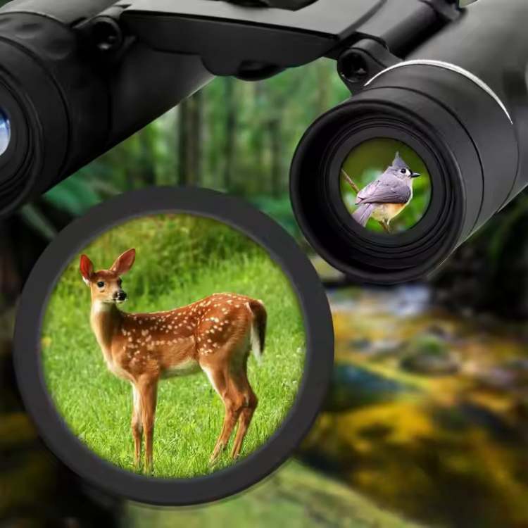 Skanto | 40x22 HD Long Distance Binoculars | Lightweight, Multi-Coated Lenses for Bird Watching, Wildlife Viewing & Stargazing