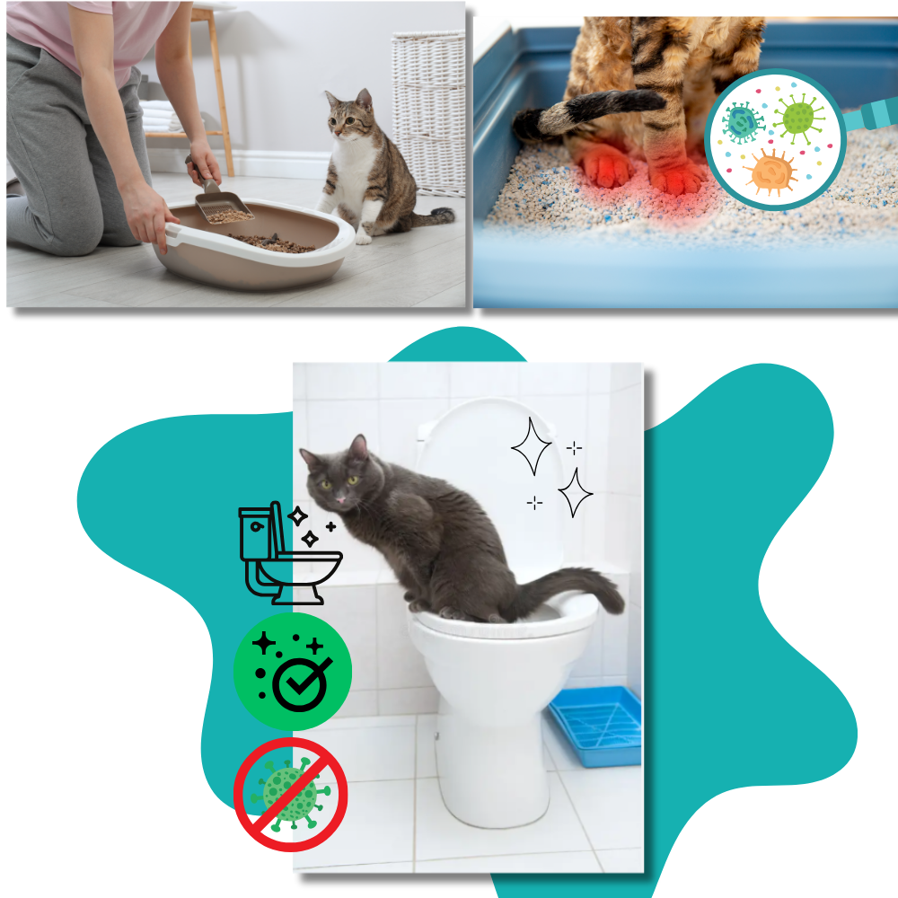 Skanto Cat Litter Toilet Trainer with Easy Training