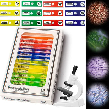 Skanto | Portable Microscope for Young Explorers