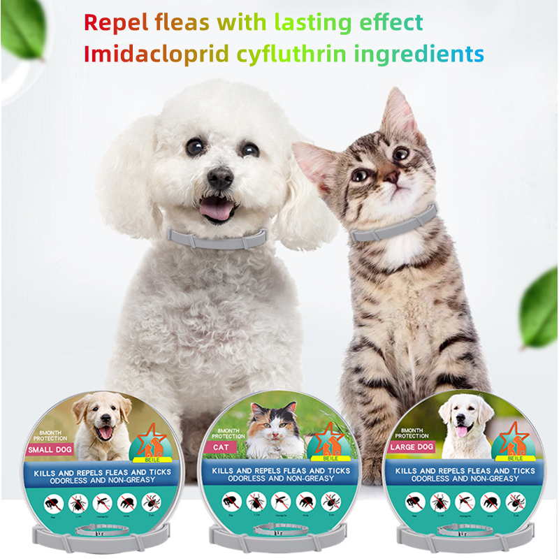 Skanto | Anti-Flea Pet Collar