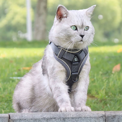 Karnz Comfort Cat Harness