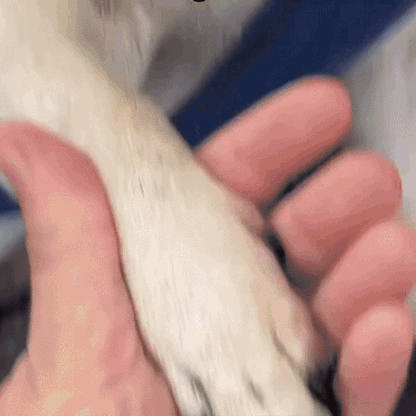 BowLift | Clippix | Safe Nail Clipping Without Risk or Stress