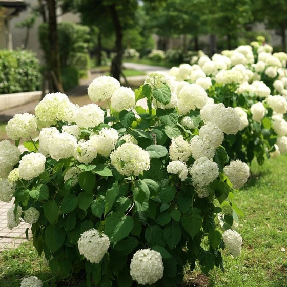 BowLift | Outdoor Artificial Hydrangea Flowers