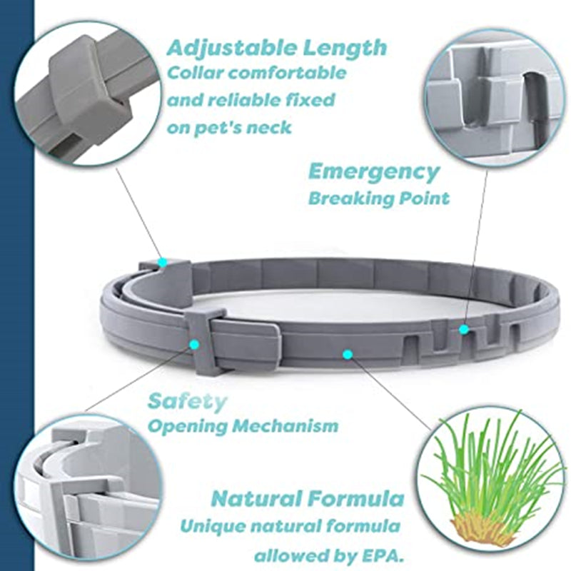 Skanto | Anti-Flea Pet Collar