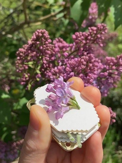 BowLift | Mini Flower Press | Compact Botanical Keepsake Maker | Portable Craft Tool