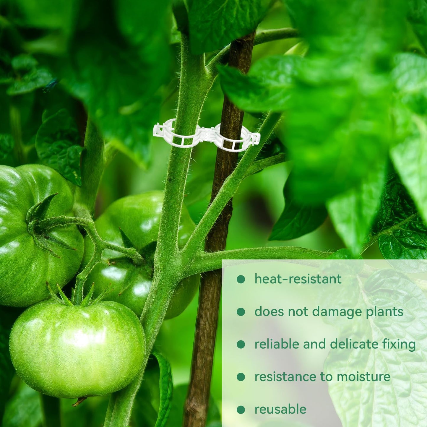 BowLift | Tomato Clips, Plastic Trellis Clips
