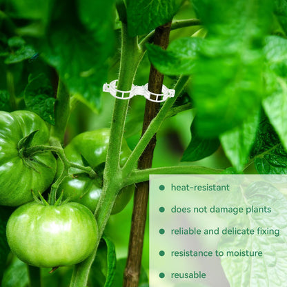 BowLift | Tomato Clips, Plastic Trellis Clips