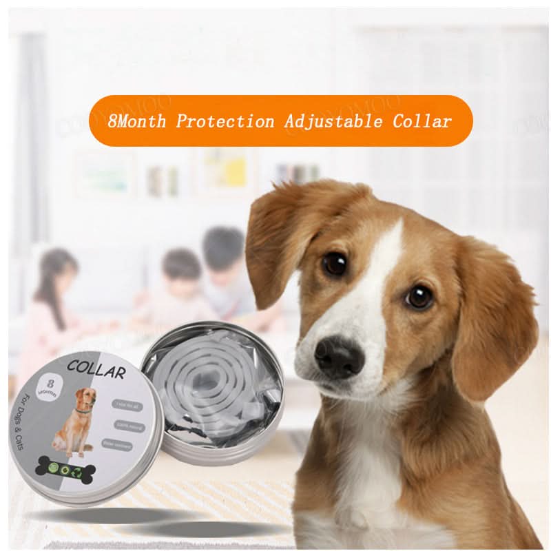 Skanto | PAWTECT - Anti-Tick and Flea Collar