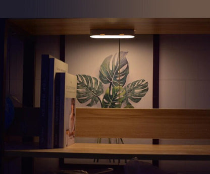 Skanto – Motion Detector Lamp