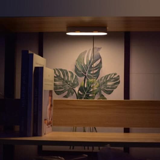 BowLift | Rechargeable LED Motion Sensor Wall Light