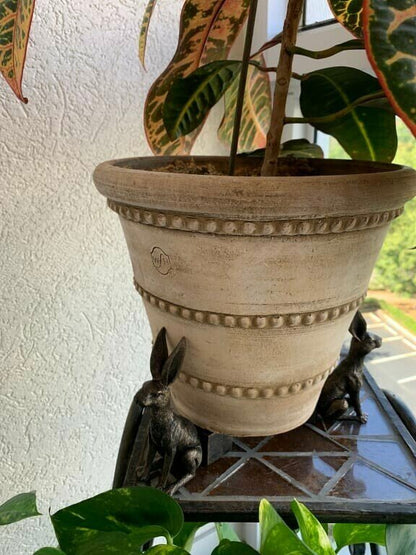 BowLift | Potty Feet Plant Pot Feet