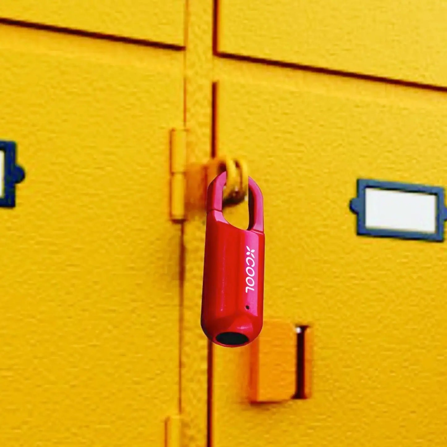 Skanto | InstaSecure Fingerprint Padlock