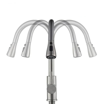 Skanto | Modern Kitchen Faucet with Swivel Spout and Nickel Finish
