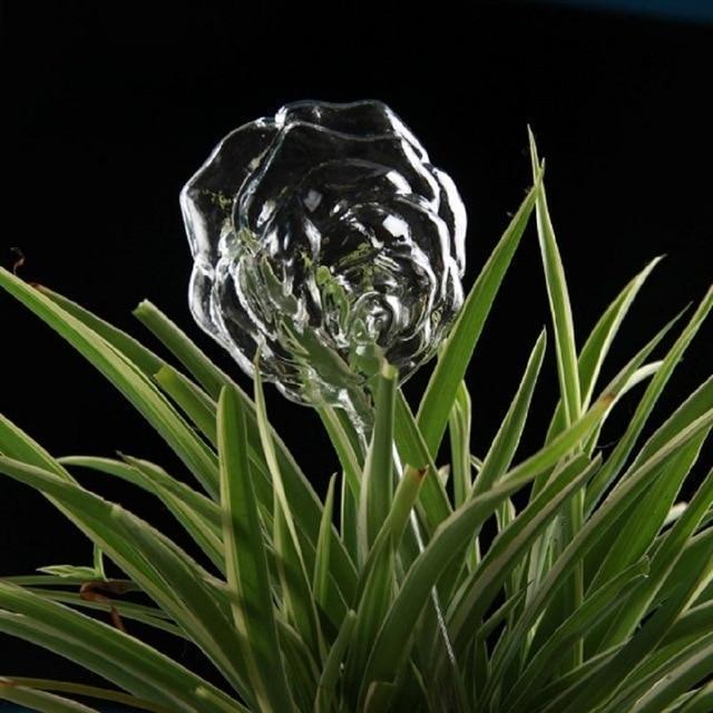 BowLift | Self-Watering Plant Bulb