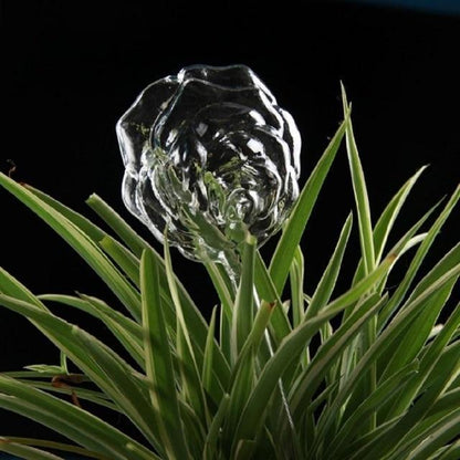 Kalsten | Self-Watering Plant Bulb