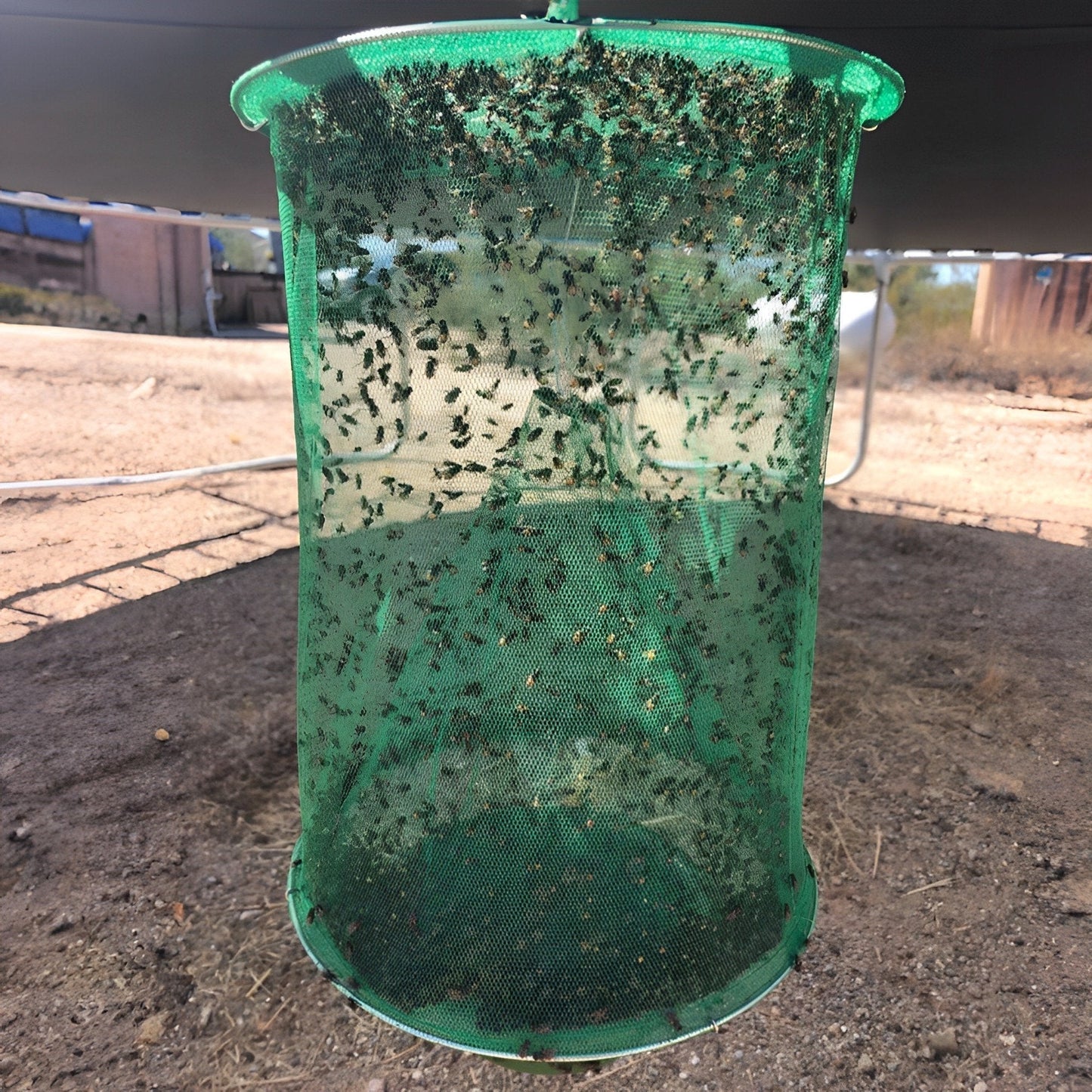BowLift | Stable Fly Trap