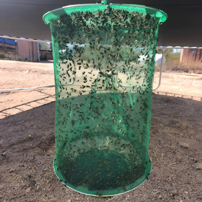 BowLift | Stable Fly Trap