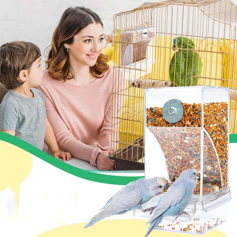 Automatic overflow protection Transparent bird feeder | Bowlift