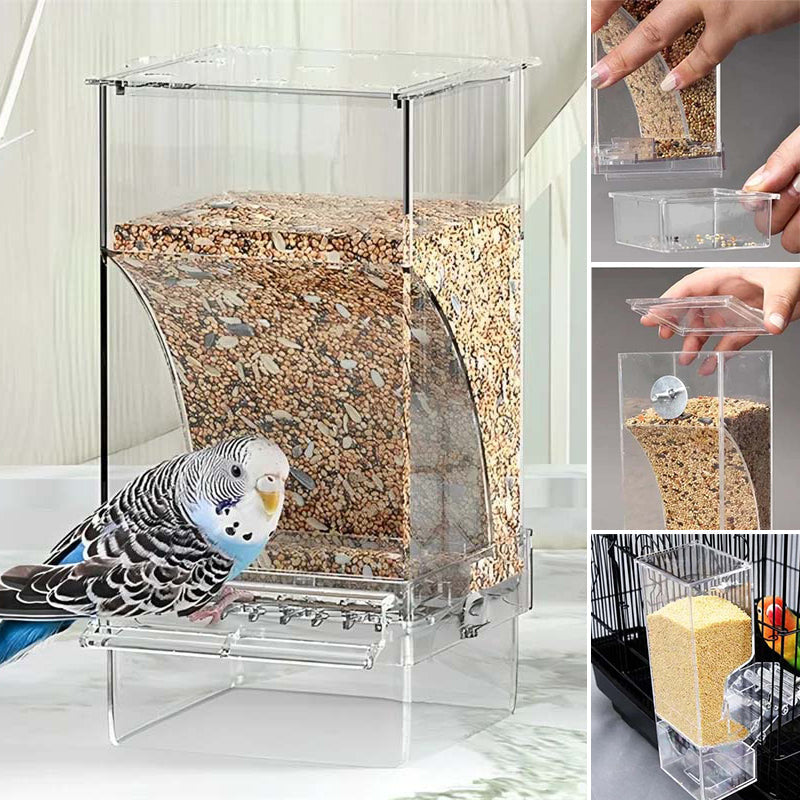 Automatic overflow protection Transparent bird feeder | Bowlift
