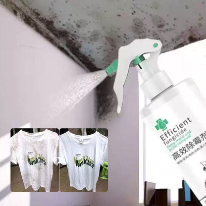 Skanto | High-Efficiency Mold Remover