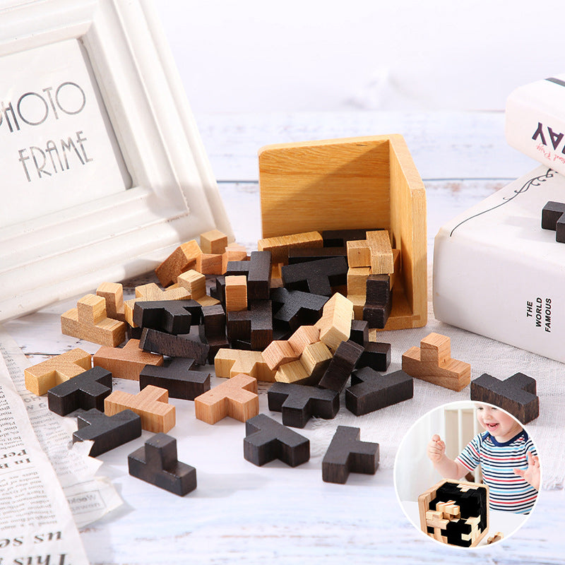 Wooden Brain Teaser Game