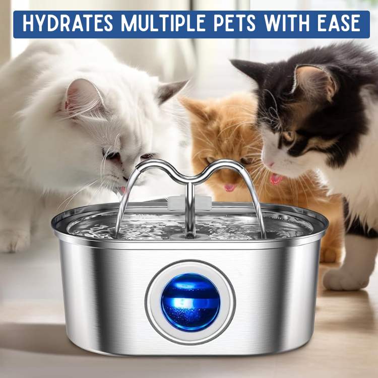 Skanto | Pet Water Fountain | Silent Operation, Durable Stainless Steel & Ideal for Cats and Dogs