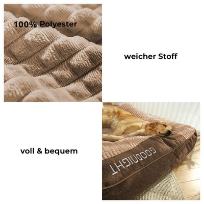 Skanto | CocoonChien | Optimal comfort for your companion