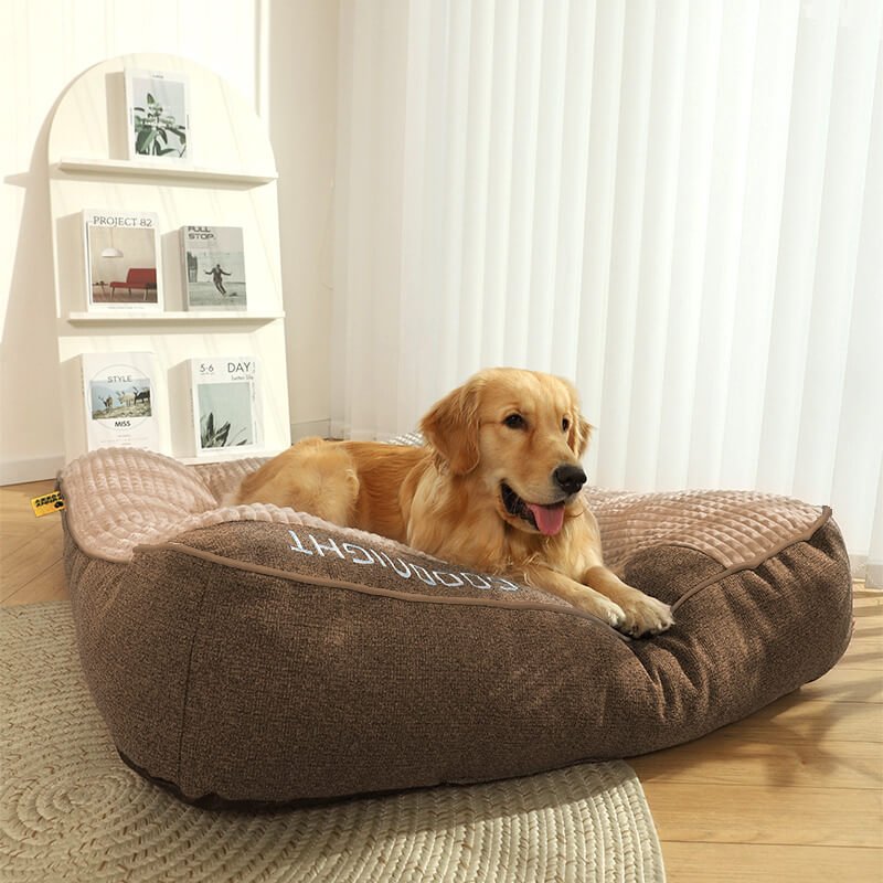 BowLift | CocoonChien | Optimal comfort for your companion