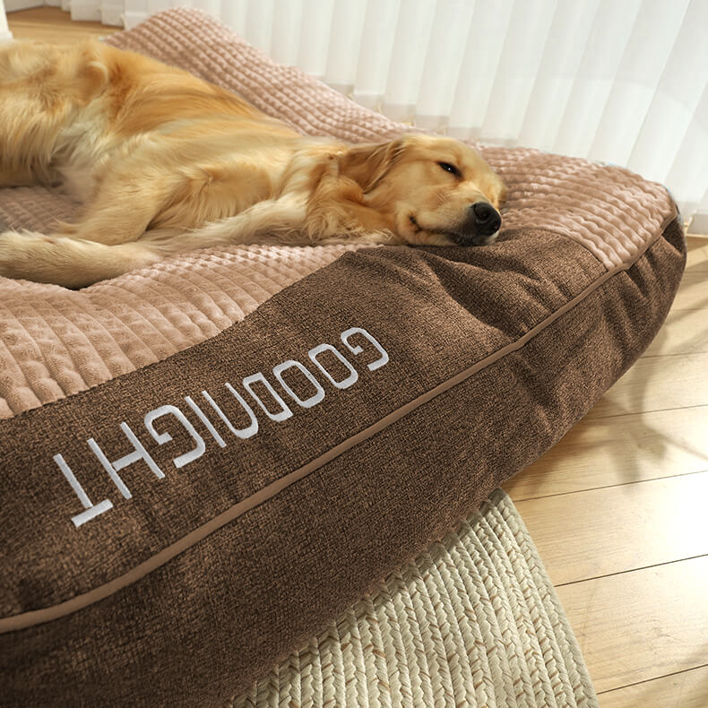 Skanto | CocoonChien | Optimal comfort for your companion