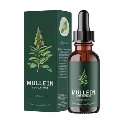 Gluten-Free Mullein for Lung Health
