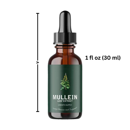 Gluten-Free Mullein for Lung Health