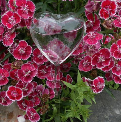 BowLift | Self-Watering Plant Bulb
