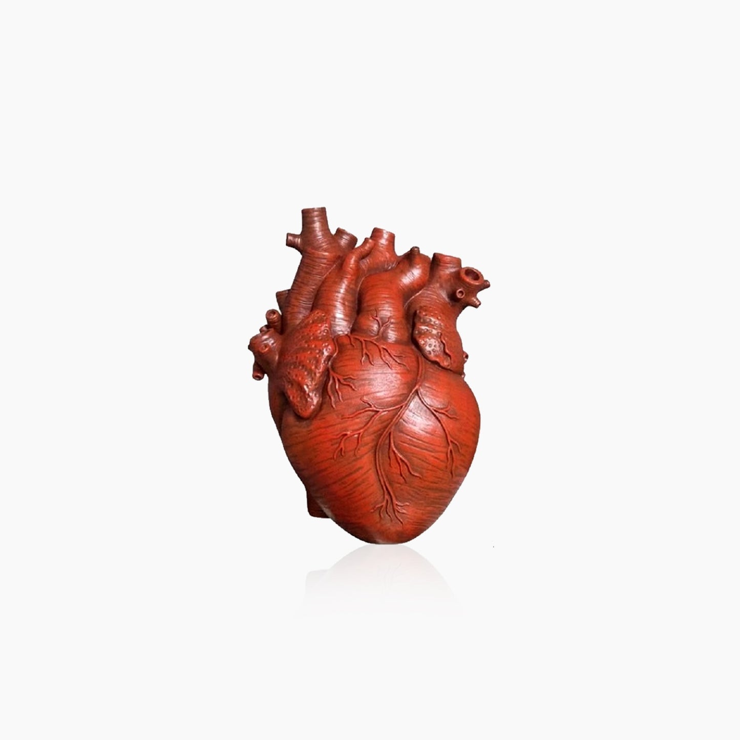 Frendorf | Heart Dry Plants Art Vase