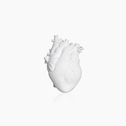 Skanto | Heart Dried Flower Artificial Vase