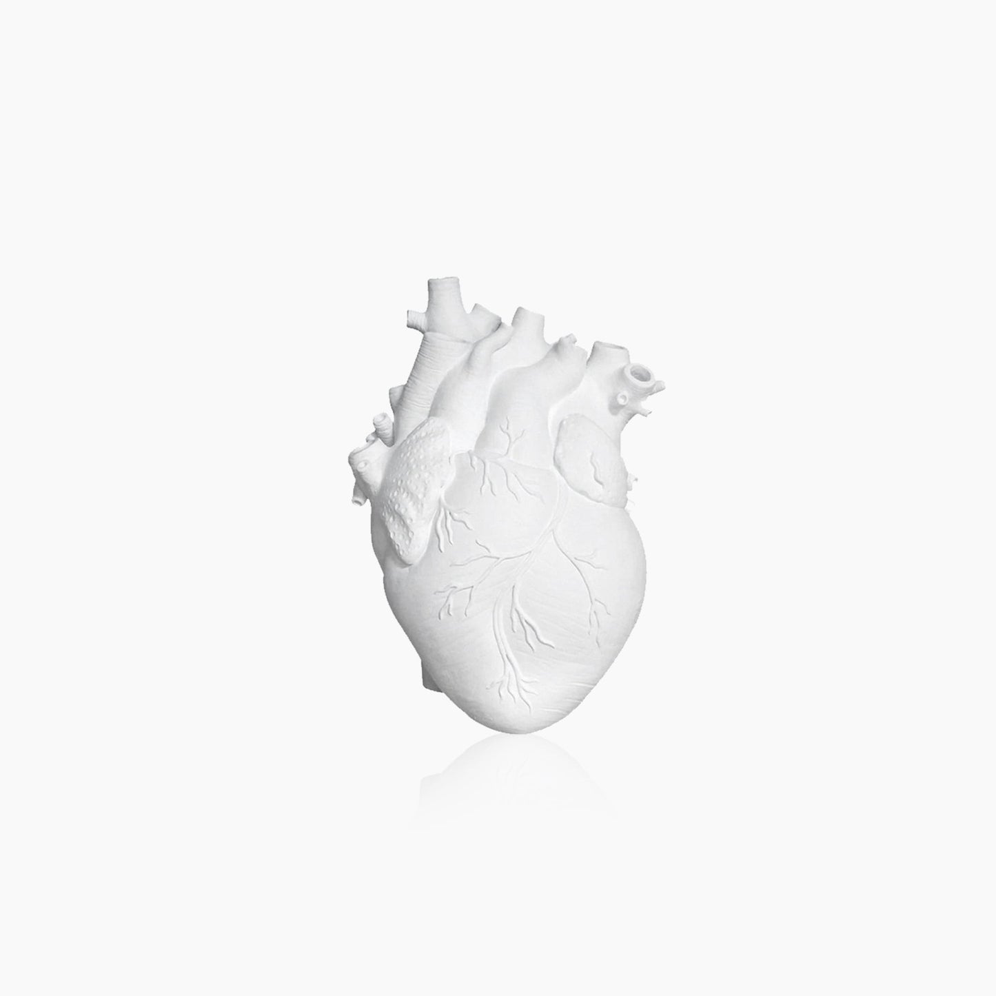 Frendorf | Heart Dry Plants Art Vase