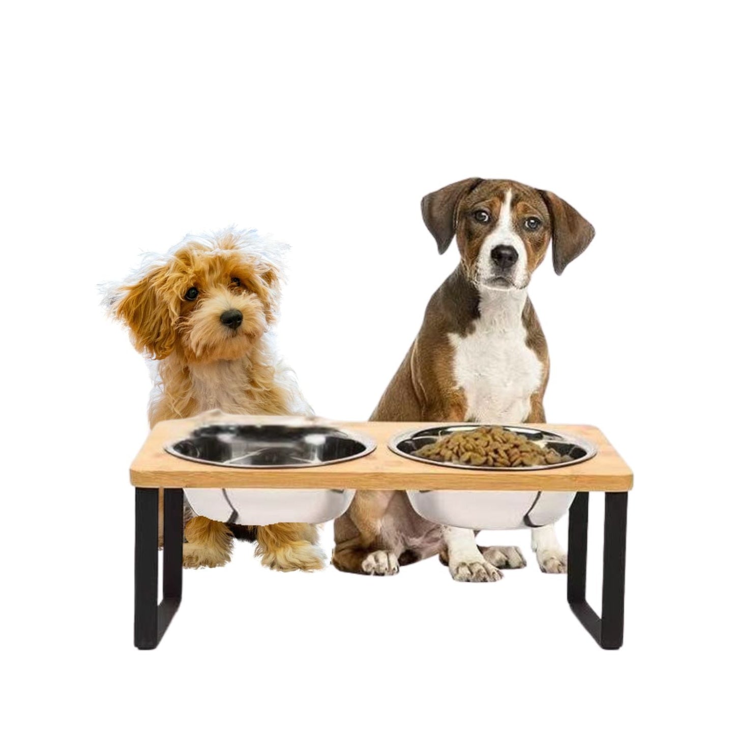 Skanto | Raised Dog Bowl – Bamboo Stand with Removable Stainless Steel Bowls