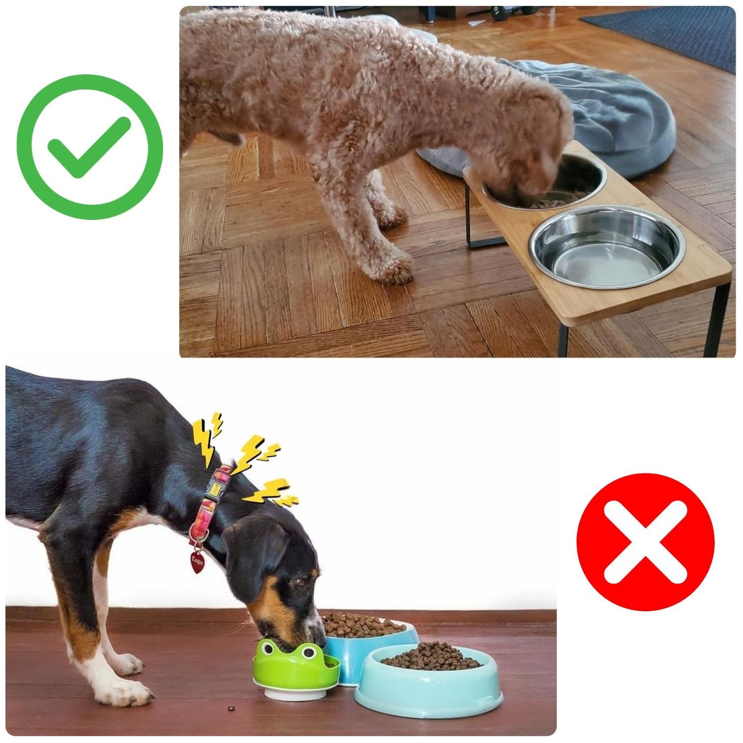 Elevated Dog Bowl – Bamboo Stand with Removable Stainless Steel Bowl | Skanto