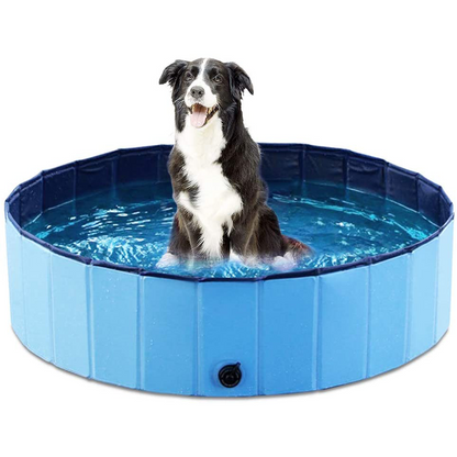 Luxury Dog Pool for the Garden Bowlift