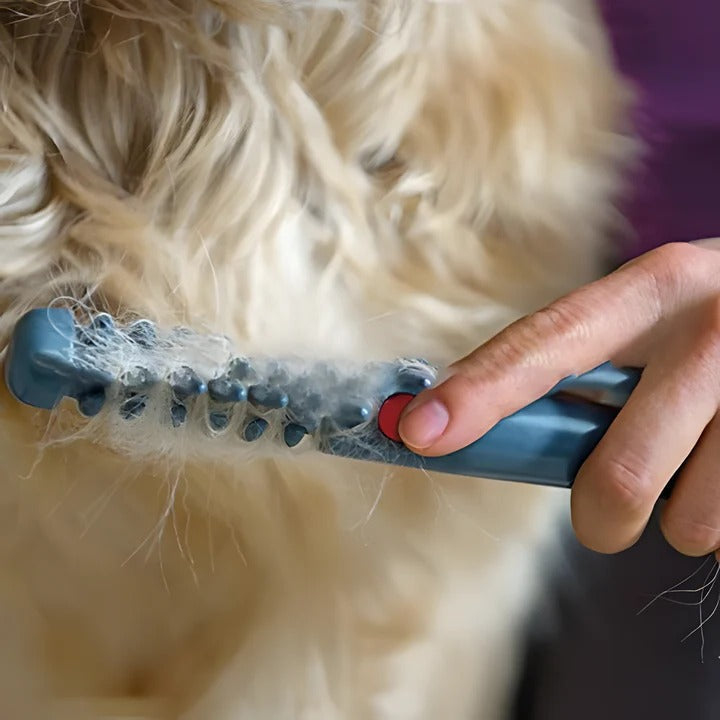 Skanto | No More Knots and Tangles for Your Pet