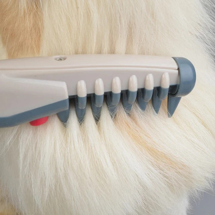 Skanto | No More Knots and Tangles for Your Pet