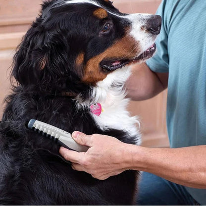 Skanto | No More Knots and Tangles for Your Pet