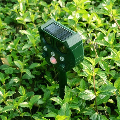 Skanto | Ultrasonic and Noise Sonar Repellent