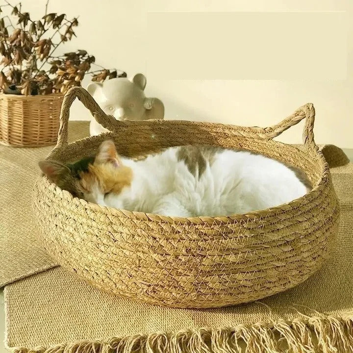 Skanto | Handmade Woven Cat Bed with Seasonal Cushion